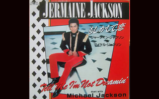 Illustration for article titled Michael Jackson's Best: Reflections of a DJ